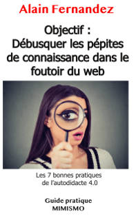 debusquer-pepites-connaissance-web